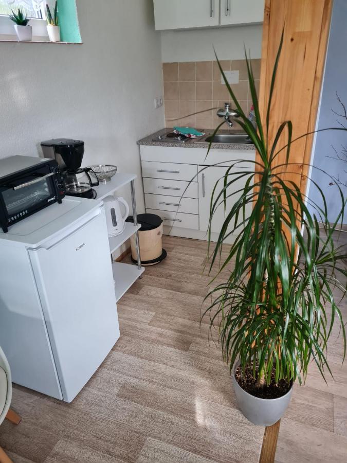 Appartamento Haus Am Waldesrand Tanne Esterno foto